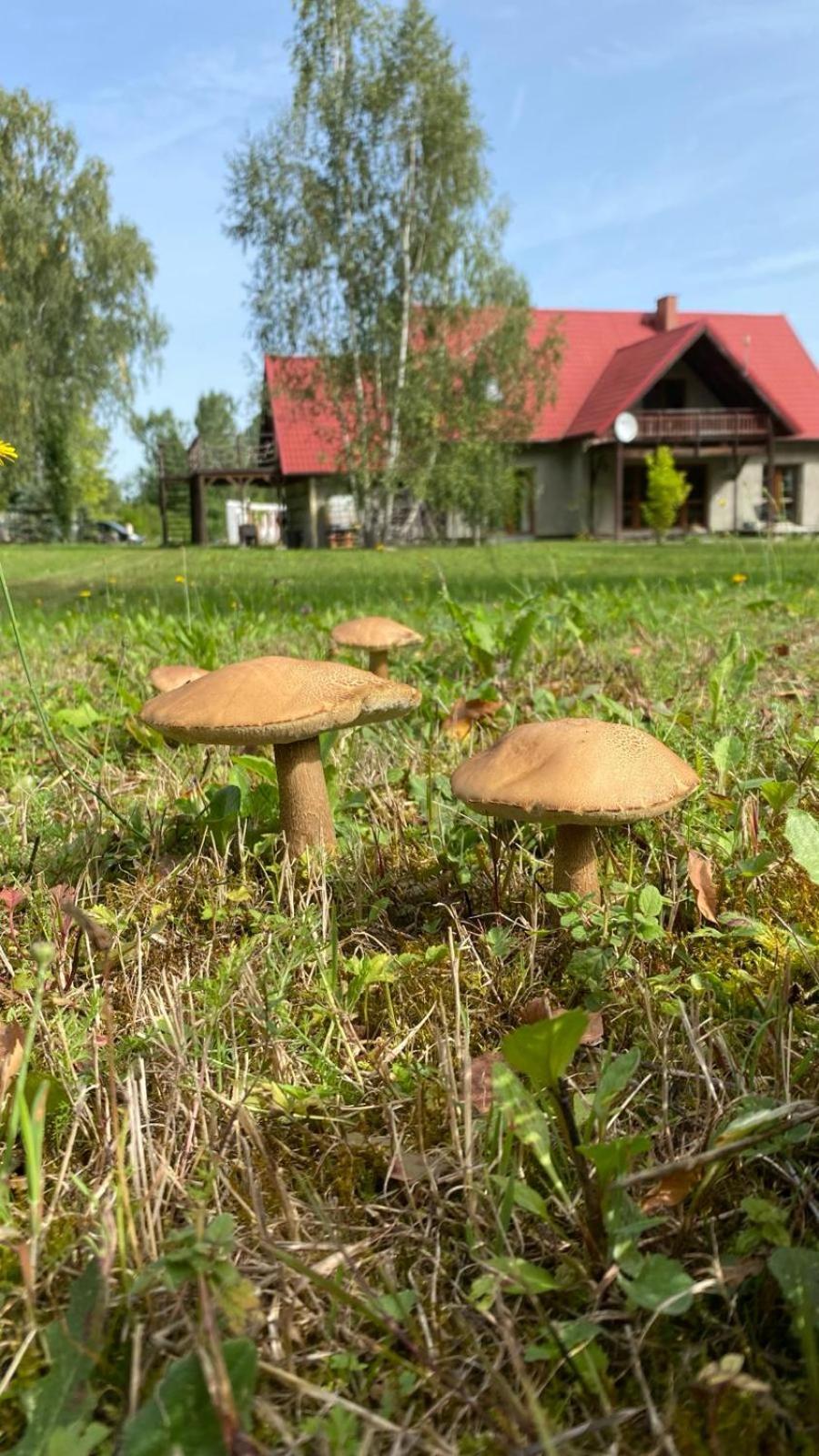 Anielski Zakatek Kolonia Rybacka Exterior foto